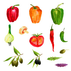  Hand drawn raw food illustration. Organic healthy vegetables watercolor drawing. 