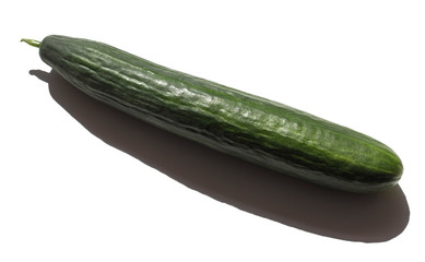 a long green cucumber on a white background with a shadow from the sun