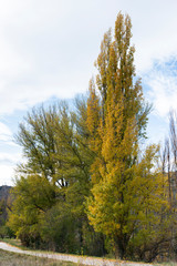 Rincon de Ademuz en otoño