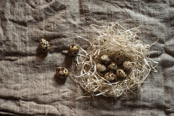 quail eggs in a nest on the background of burlap.