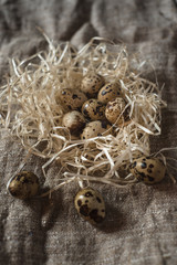 quail eggs in a nest on the background of burlap.