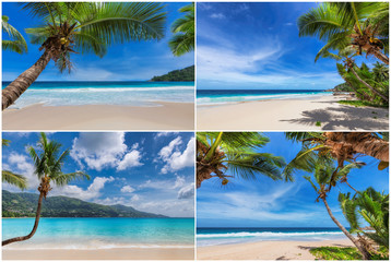 Tropical white sand beach with coco palms and the turquoise ocean on Paradise island. Kit 4 stock photos styled paradise beach.