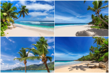 Tropical white sand beach with coco palms and the turquoise ocean on Paradise island. Kit 4 stock photos styled paradise beach. - obrazy, fototapety, plakaty