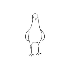 Outline pigeon dove icon vector looking forward isolated on white background