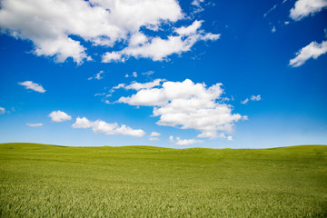 Fototapeta premium Landschaft