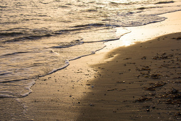 detail of the sunny beach in the sunset