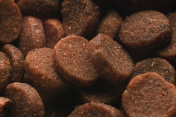 cat dog food dry food close up circles