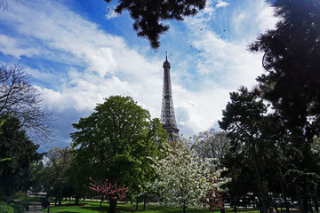Obraz premium at the eiffel tower