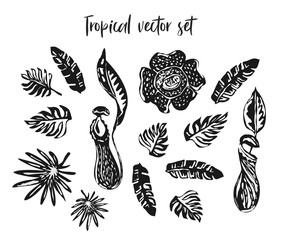 Ink drawing tropical set of floral elements