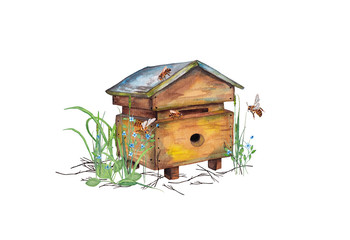 Fototapeta Illustration of colorful realistic wooden bee hive apiary in garden grass with bees. Fragment of bees' life. Watercolor hand painted isolated elements on white background. obraz