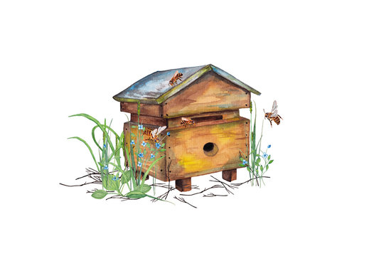 Illustration of colorful realistic wooden bee hive apiary in garden grass with bees. Fragment of bees' life. Watercolor hand painted isolated elements on white background.