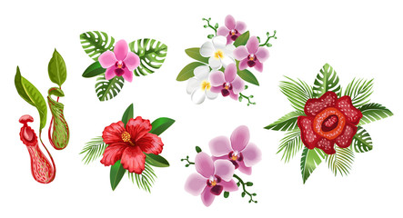 Tropical set of flowers and palm leaves