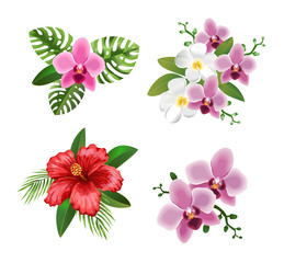 Tropical flowers. Phalaenopsis, Orchid, Frangipani,  Plumeria.Palm leaves