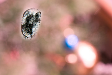 Fingerprint at the scene of a crime