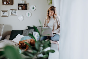 Businesswoman working on laptop computer sitting at home with a dog pet and managing her business via home office during Coronavirus or Covid-19 quarantine