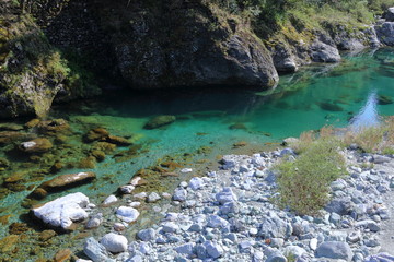 仁淀川の支流　安居川　春（高知県）