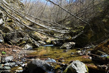 HDR outdoor landscape photography of river with rocks