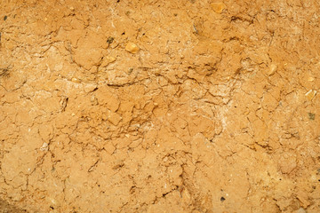 Sandy rock in sunny weather texture yellow