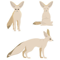 Fenech in different poses. Cute animal in cartoon style.