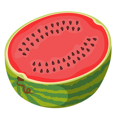 Half watermelon in cartoon style. Juicy fruit isolated on white background.