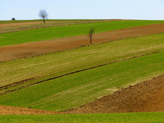Fototapeta na wymiar wiosenne pola