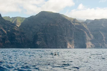 Fotobehang Huge majestic cliffs of Los Gigantes. View of the rocks from the ocean. Sometimes gray dolphins hide in the frame. © Yuliya_Lapteva