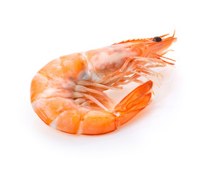 Cooked shrimps isolated on white background.