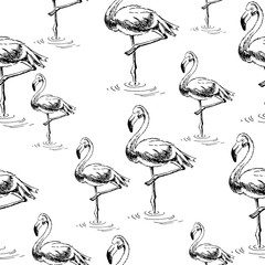 Vector seamless pattern. Flamingo birds. Ink pen drawing. Line art design. Hand drawn picture.
