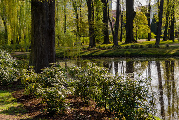 Białostockie Plany wiosną, Białystok, Podlasie, Polska