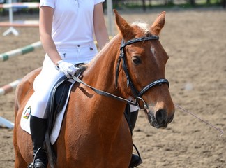 Obraz premium horse with girl