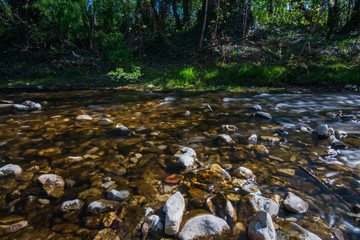 kleiner Fluss mit Steinen und klarem Wasser in der Natur 