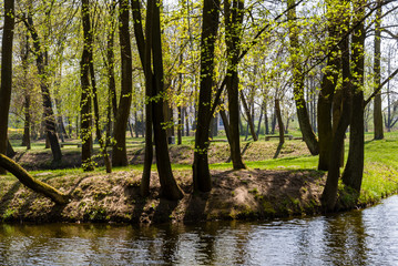 Wiosna w Parku Lubomirskich, Dojlidy, Białystok, Podlasie, Polska © podlaski49