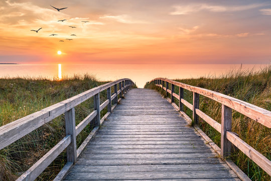 Dunes beach at sunset near the northern coast of Germany
