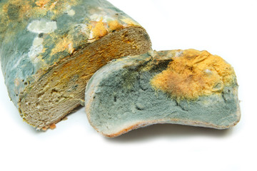 The picture of a fully mouldy bread because of the wrong storage. Rotten and uneatable. Isolated on...