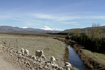 Obraz premium PATAGONIA