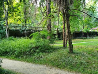 Sukhumi Botanical Garden, Abkhazia