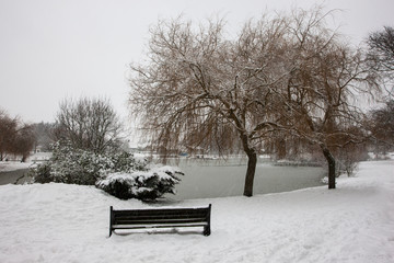 Snowy winter  scene in park overlooking lake