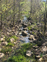 Fluss mit Wasseran einem schönen Frühlingstag