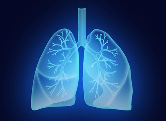 Illustration of human lungs on dark blue background