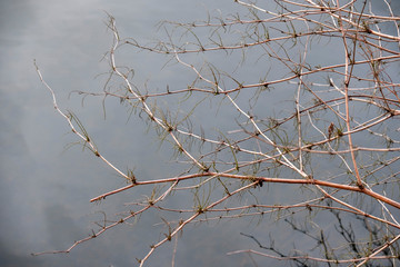 Paysage dans la Vallée de Chevreuse