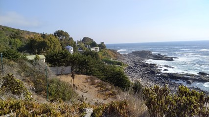 trip by the ocean pacific coast