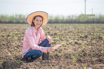 Naklejka na ściany i meble Young farmer asian woman sitting and holding smart tablet in a corn field. Technology farm Concept image.