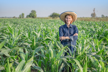 Naklejka na ściany i meble Young asian smile woman farmer wear Denim dress stand in corn field Thailand.