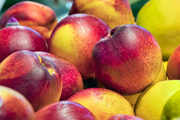 Close-up of peaches fruit, indoors.
