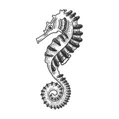 Seahorse sea animal sketch engraving vector illustration. T-shirt apparel print design. Scratch board imitation. Black and white hand drawn image. © Oleksandr Pokusai