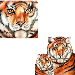 tiger on white background,  Red tiger skin, soft fur blanket, plaid, blanket in the form of a tiger skin. Packaging paper