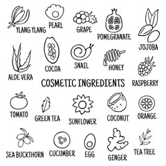 Cosmetic ingredients. Hand-drawn icons of herbs, fruits, vegetables, flowers, oils. Collection of vector icons.