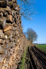 Paysage dans la Vallée de Chevreuse