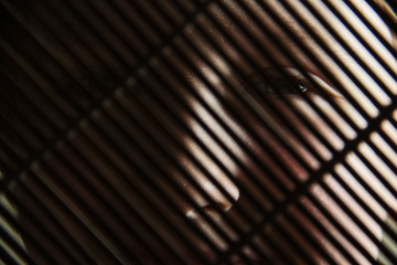 The girl behind bars. Eyes behind the blinds.