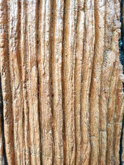 Obraz premium bark of tree